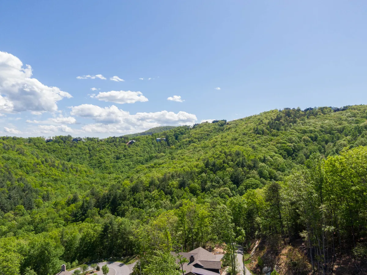 A wide view of rolling hills covered in dense forest, with a blue sky dotted with clouds overhead. The untouched landscape suggests endless possibilities for hiking, wildlife spotting, and outdoor exploration, embodying the expansive BRMC acreage mentioned in the section.